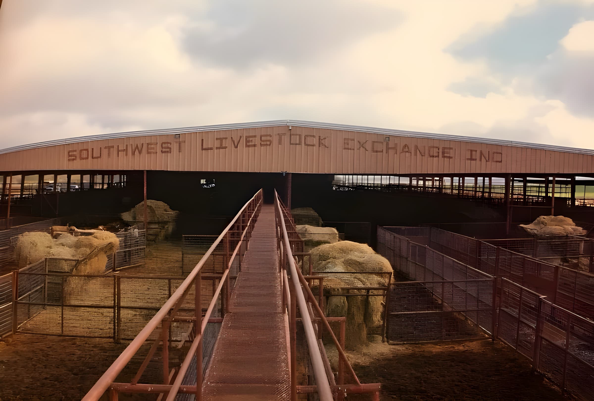 The catwalk over the pens at Southwest Livestock Exchange, with the company name painted on the barn